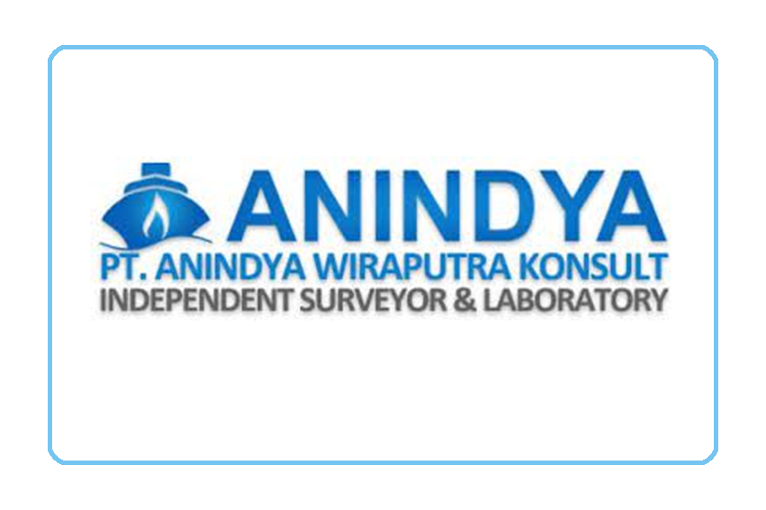 PT Anindya Wiraputra Konsult