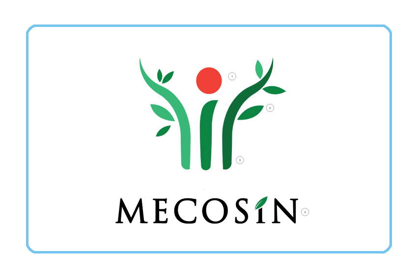 PT Mecosin Indonesia